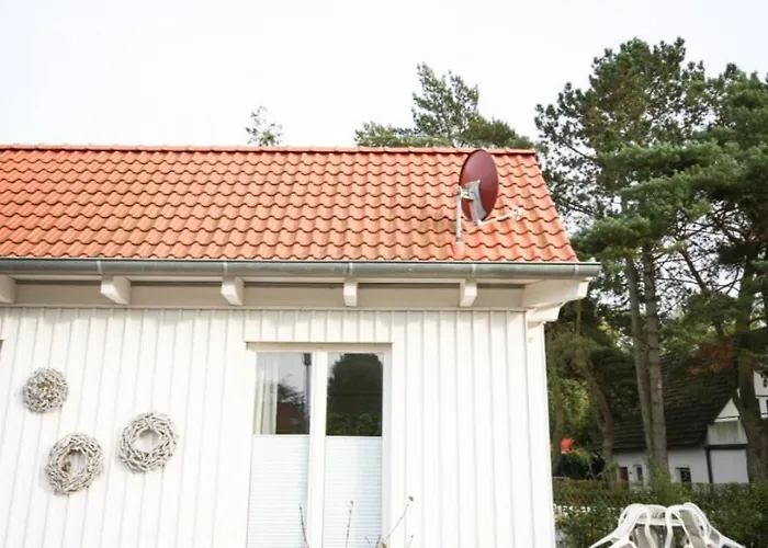 Schmetterlingsgarten *